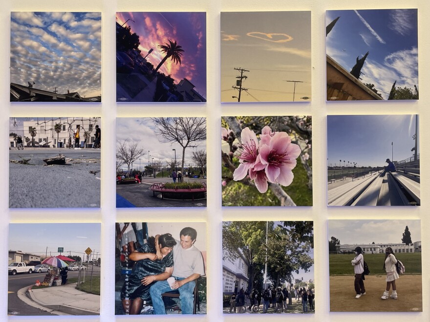 Twelve images form part of a photo project. They feature a couple holding one another and laughing, two uniformed students at school, flowers, a palm tree at sunset, and a street vendor under a rainbow flag.