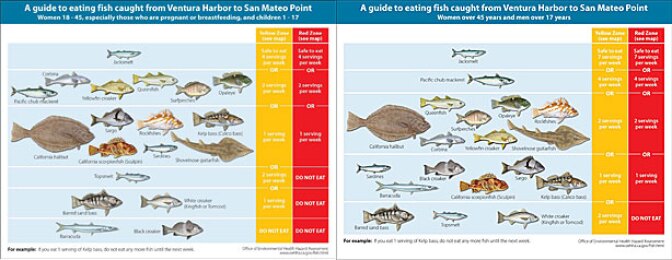 Guidelines of which fish can be eaten (view Safe Eating Guidelines fact sheet at http://oehha.ca.gov/fish/so_cal/pdf_zip/SoCalFactsheet61809.pdf for larger versions of these images)