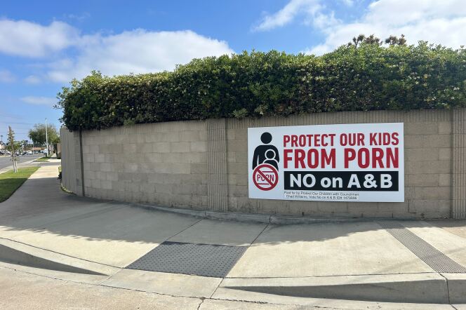 A banner campaign sign reads in big block letters, "PROTECT OUR KIDS FROM PORN" and "NO on A & B."
