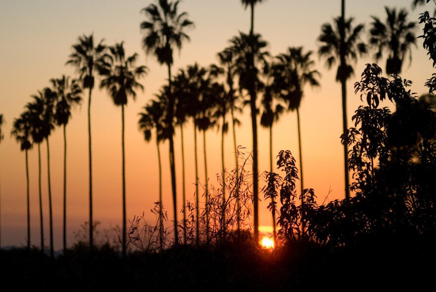 On Elysian Park Drive, in Elysian Park