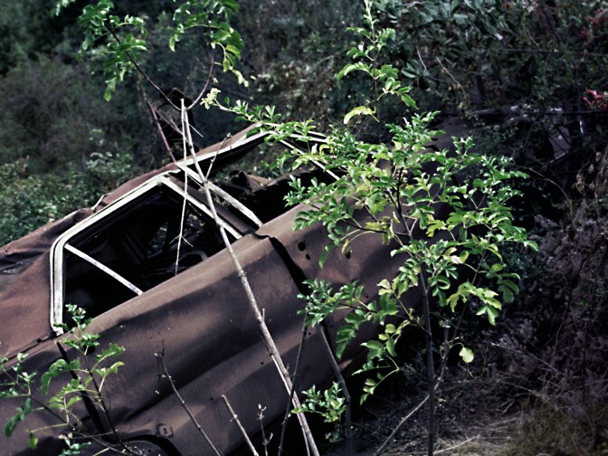 "Gathering Nutrients" by photographer Jason Knight.