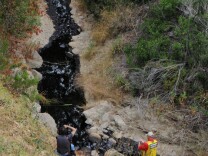 Sean Anderson, associate professor of environmental science and resource management at Cal State Channel Islands, samples crude oil from Hall Canyon outside Ventura on June 23, 2016 following an oil spill.