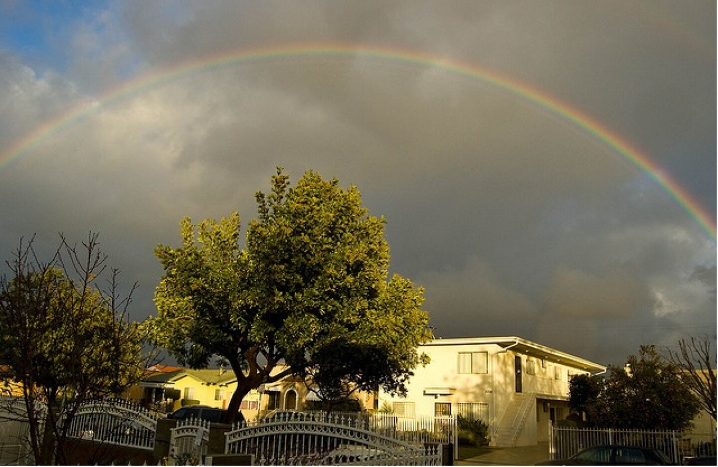 rainbow.jpg