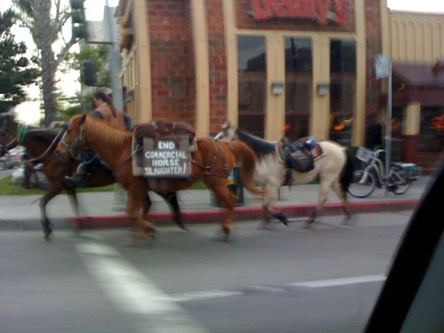 horses.jpg