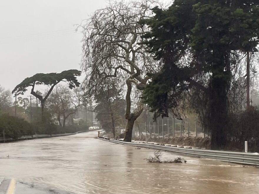 Trees line what look like a brown river. The only signs it's actually a covered roadway are the metal guardrail along the bank and a strip of asphalt with yellow stripes disappearing into the water.