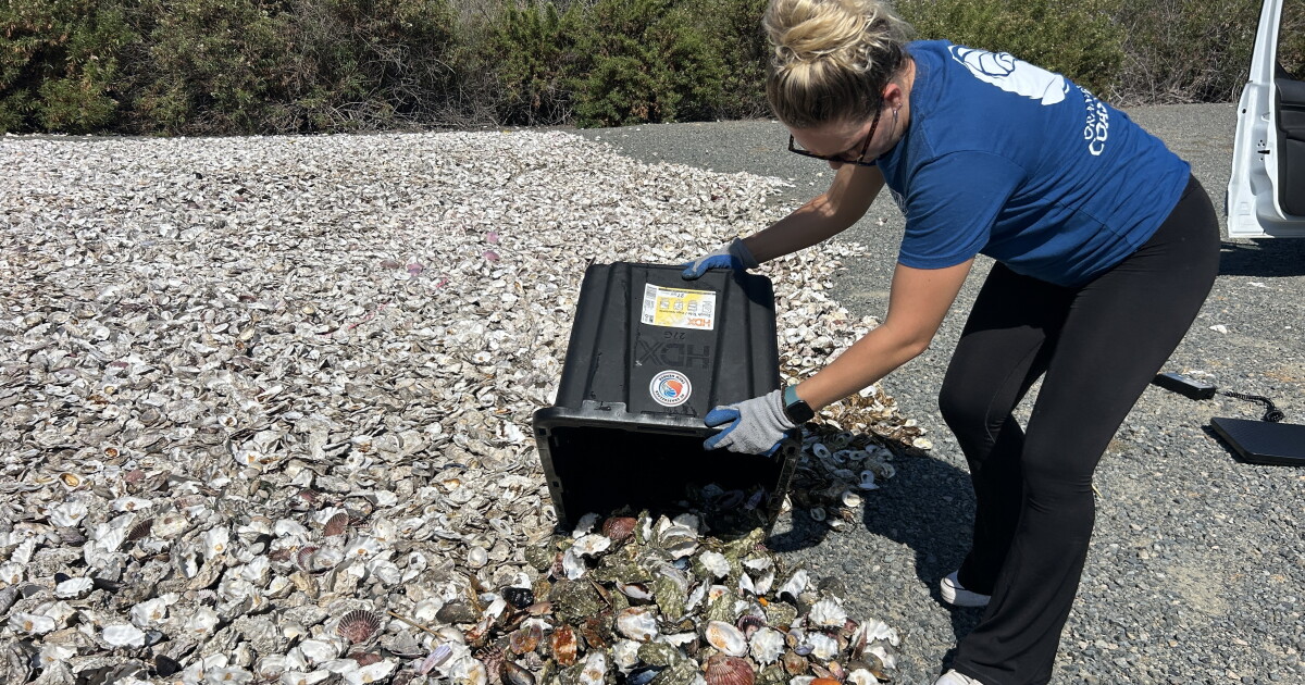Oysterpalooza arrives in Orange County. What to know about the festival