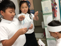 Students in the Korean dual language program at Cahuenga Elementary in Los Angeles' Koreatown neighborhood walk through a role-playing exercise on Weds., May 30, 2018.