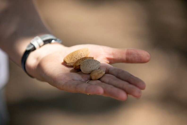 CALMATTERS DROUGHT CROPS