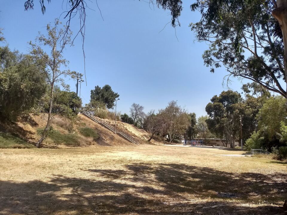 An empty dirt field with a few trees surrounding it