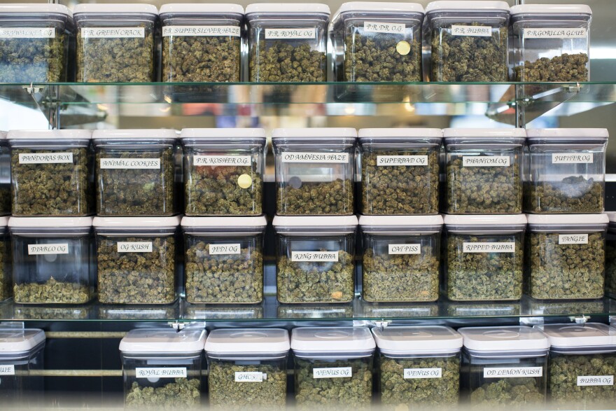Kushmart, one of the largest medical dispensaries in downtown Los Angeles, currently has 55 strains of marijuana. In November, California voters could decide to make recreational marijuana use legal.