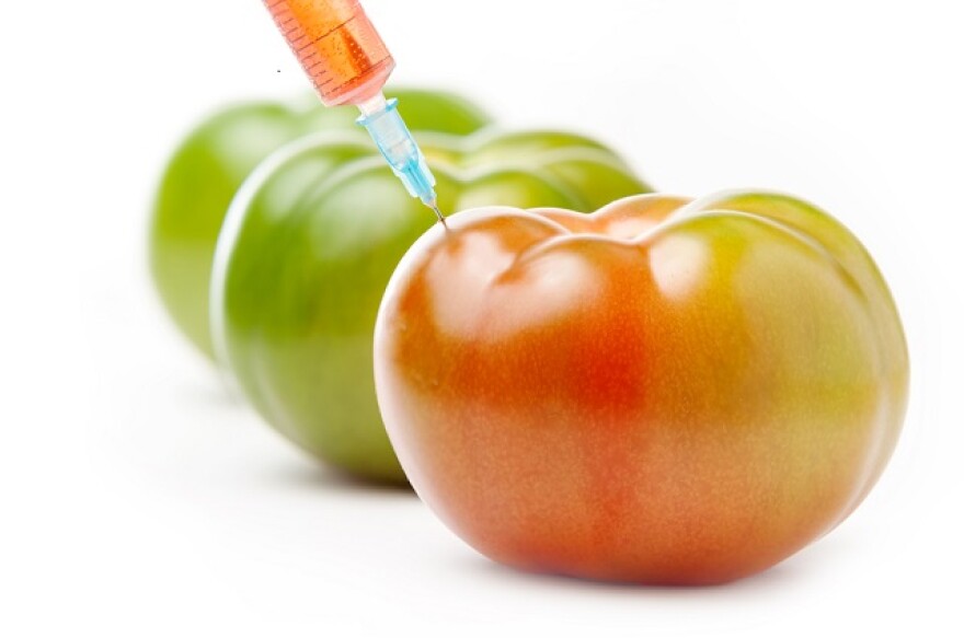 GMO_foods.jpg
