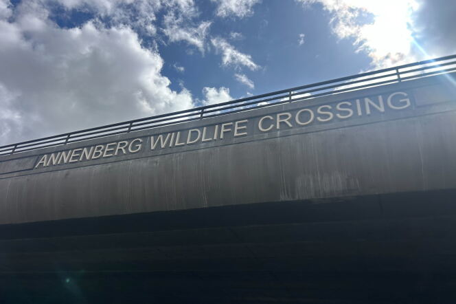 The letters "Annenberg Wildlife Crossing" is etched on the side of a concrete bridge. 