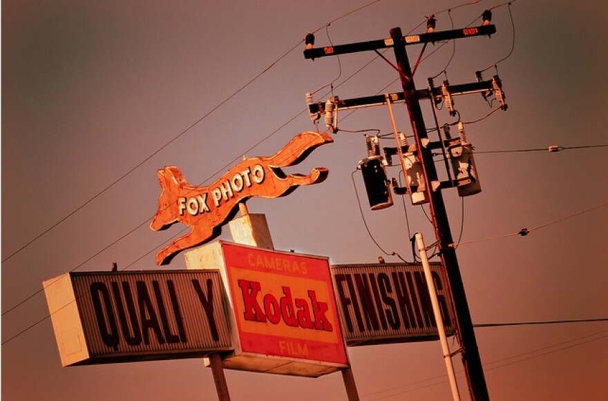 fox_photo.jpg