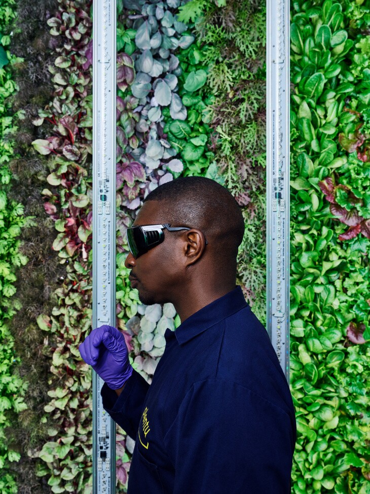 PLENTY VERTICAL FARM