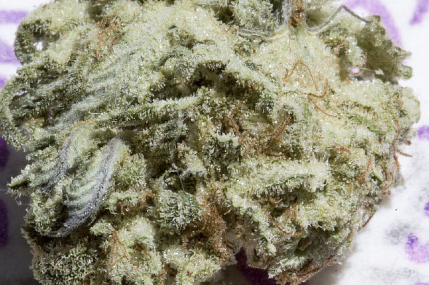 medicinal.jpg
