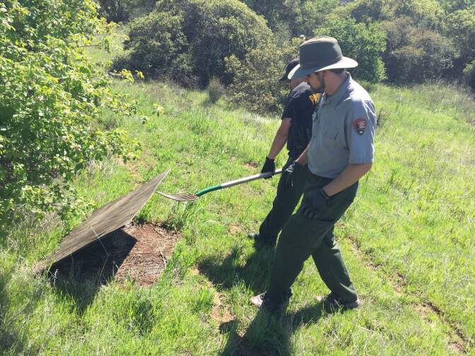 Rangers work to clean up snake traps throughout Decker Canyon. 