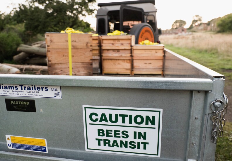 The open back of a grey truck with a sign that says "CAUTION. BEES IN TRANSIT." The truck is carrying several packaged wooden boxes.