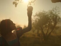 A woman in a golden light picking a fruit from a tree
