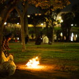 A man stands in front of a fire in a public park as other people sit on benches in the background.