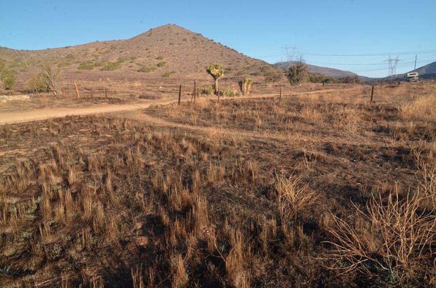 acton_california.jpg