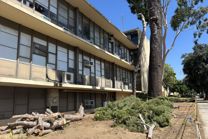 A three story school buildings at left and on dirt at right are chunks of cut down tree. 