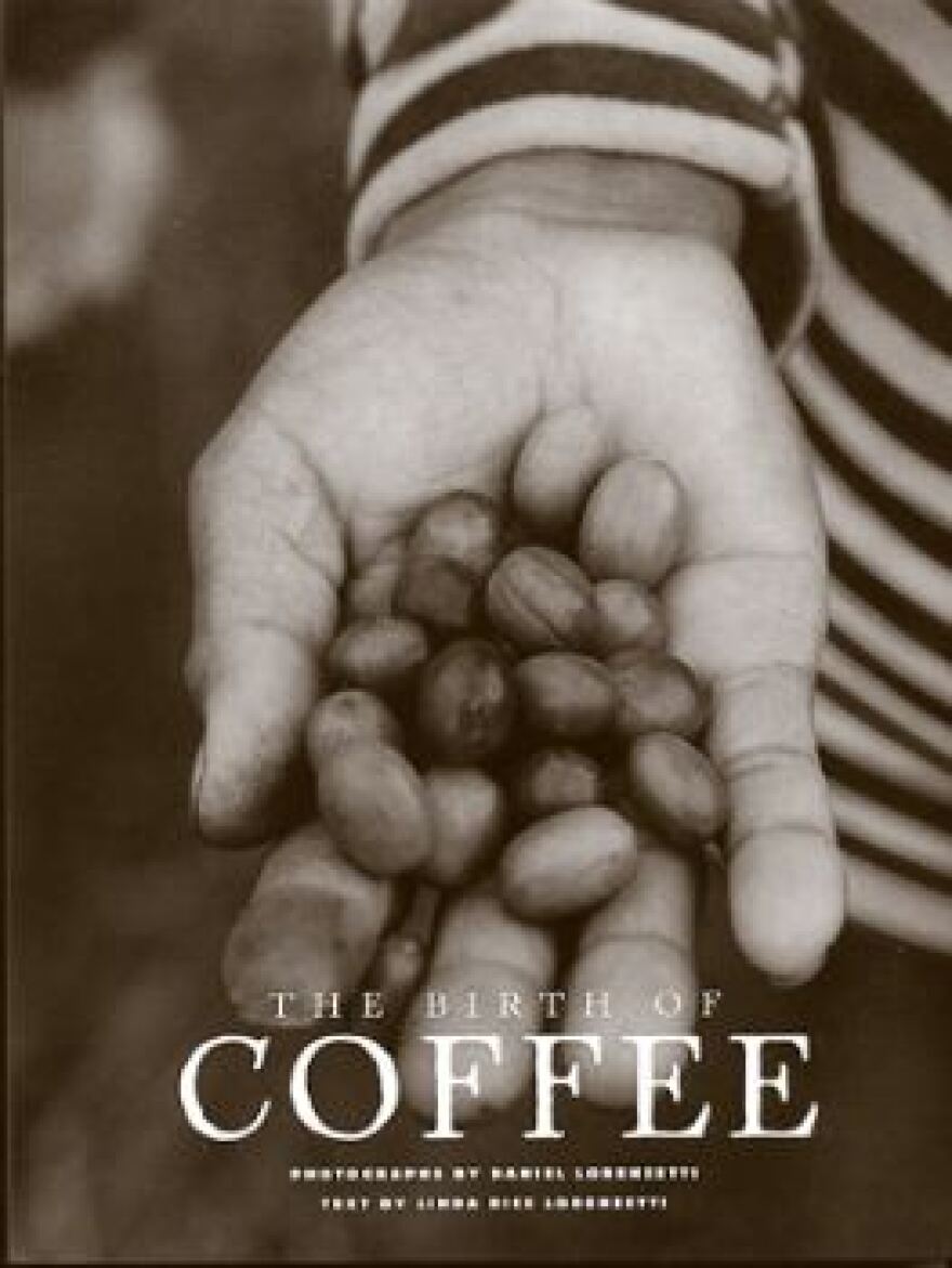 birth_of_coffee001.jpg