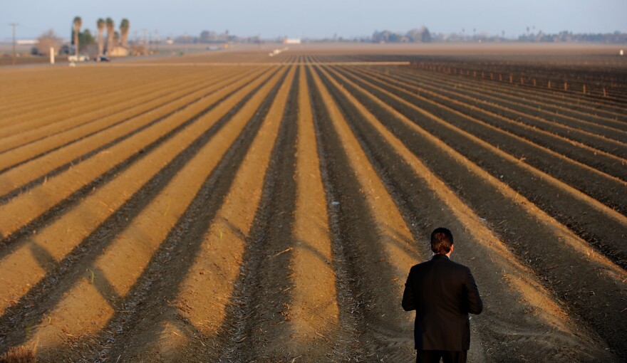 A sercret service agent looks over a farm field as President Barack Obama speaks to the media on California's drought situation on February 14, 2014 in Los Banos, California. Obama met with farmers and ranchers while pledging millions of dollars in federal funds for drought relief projects in California   