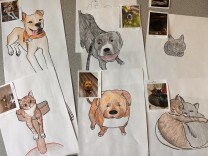 Six white pieces of paper with drawn dogs and cats in colored pencil and marker, with photos of the animals stapled to the corner of each paper.