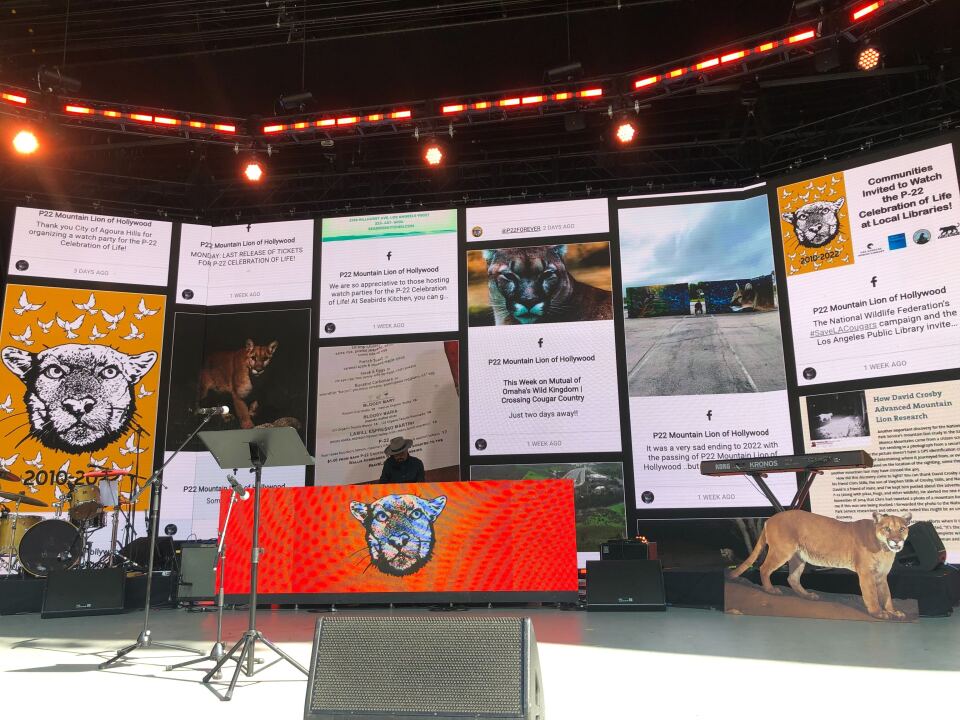 A large display on a stage shows several images of a mountain lion with large quotes excerpted from Facebook posts. A