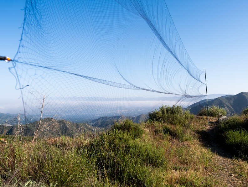 Netting on the landscape above the valley.