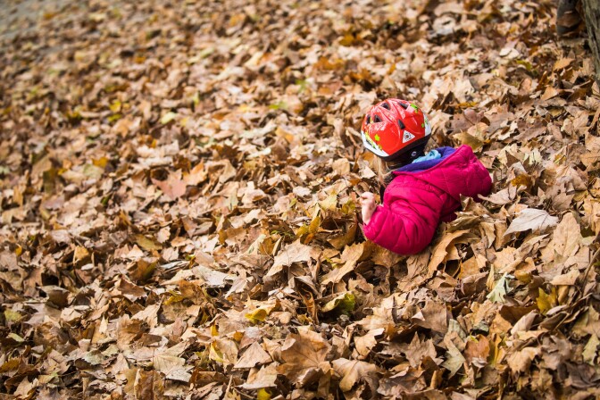 A small girl plays in a pile of fallen leaves at the Guenthersburgpark public park in Frankfurt am Main, western Germany, on October 31, 2017.