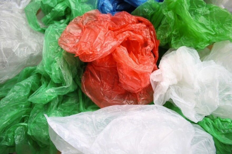 plastic-bags-ban.jpg