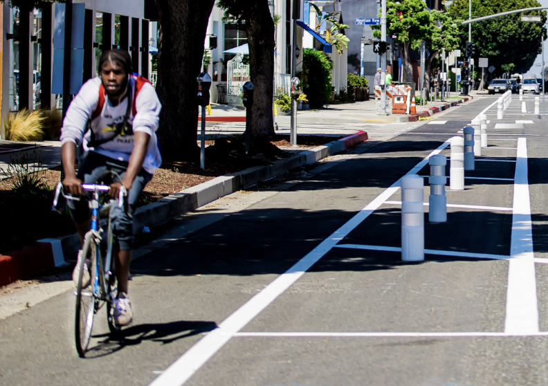 A man rides a bicycle in a protected lane, buffered by small plastic posts.