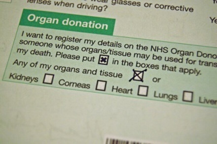 organ.jpg