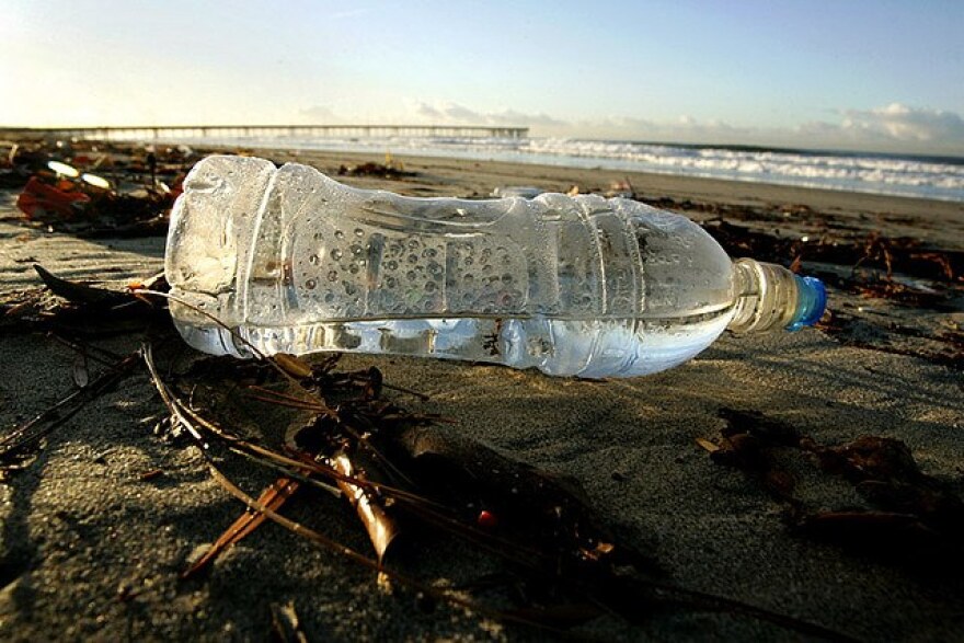 plastic-bottle.jpg