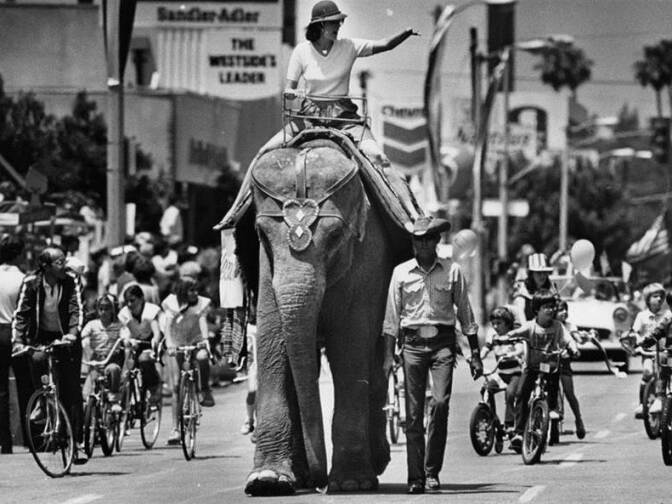The 10th annual Brentwood Parade started after the 5K and 10K morning runs. The parade which ran down San Vicente Boulevard, featured rare animals and rare entertainers all in a row on May 24, 1985. 
