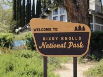 A wide look at a yellow and brown park sign that's designed to look like a national park sign. It says welcome to Bixby Knolls National Park with three trees on it. In the background are plants, trees, and a mountain range mural.