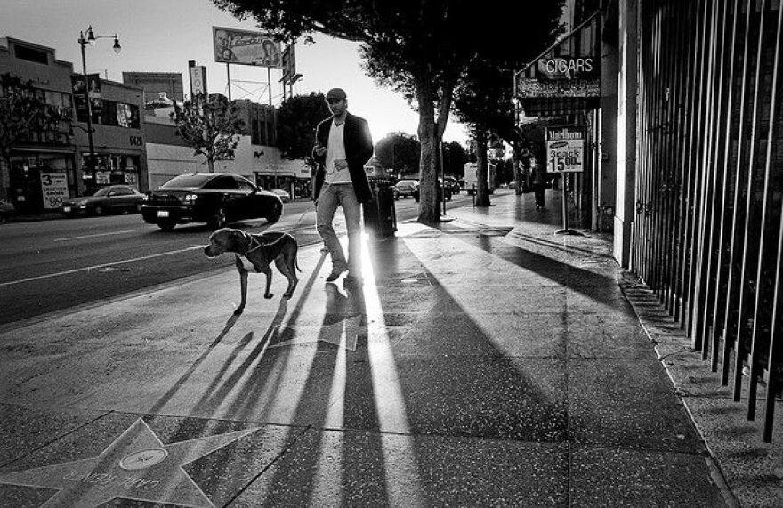 hollywood-blvd-CRA.jpg