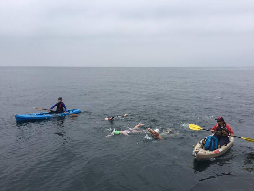 Kerry Yonushonis is joined by two pacers swimming beside her during one of the final legs of her swim across the Catalina Channel.