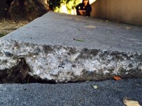 The sidewalk along Jenny Loi's Highland Park home is cracked.