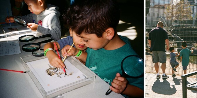 Richard's sons use magnifying glasses and look at animals at a zoo.