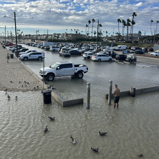 Rain has arrived. Here's the forecast