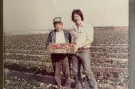 Two men are seen in a strawberry field, one on the older side and one about middle aged. They are jointly holding a large box of strawberries up, presenting it to the camera. The photo is aged, suggesting it is decades old.