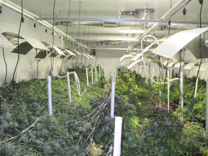 Long Beach Police raided seven medical marijuana dispensaries Wednesday, Oct. 10, 2012. Several of the dispensaries operated elaborate marijuana growing facilities.