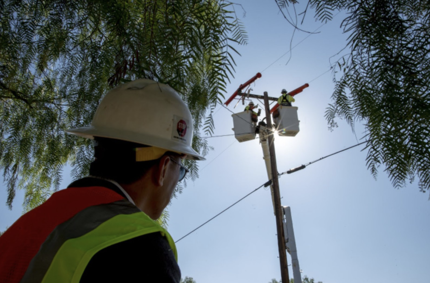 Man in white hard hat and red and yellow safety vest looks up through trees at two workers at the top of a power line replacing cables.