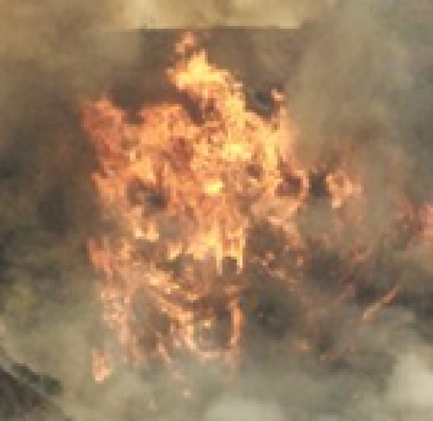 Crest Fire