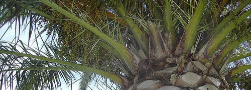 5b2bfde24488b3000926da92-original.jpg