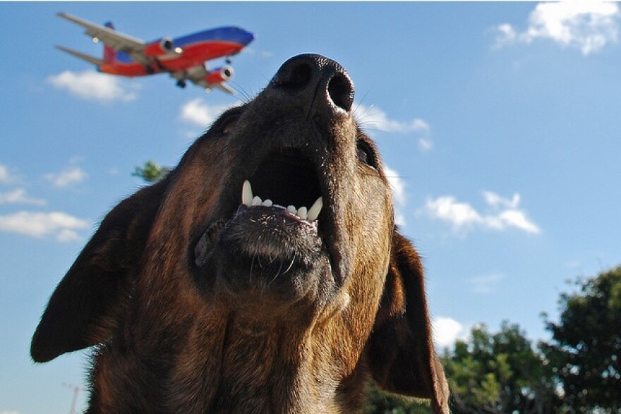southwest-plane-emergency.jpg