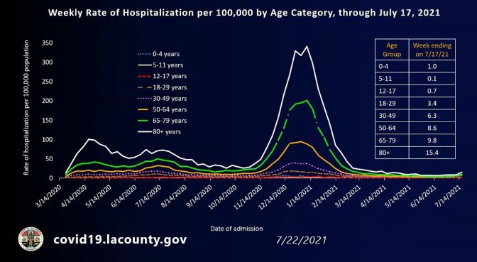 A line chart shows a peak in COVID hospitalizations between mid-November 2020 and mid-February 2021.