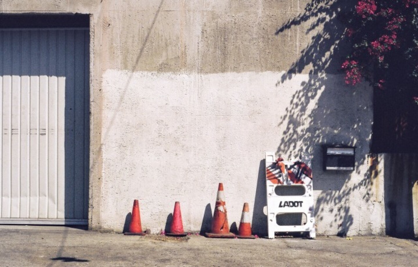 ladot.jpg